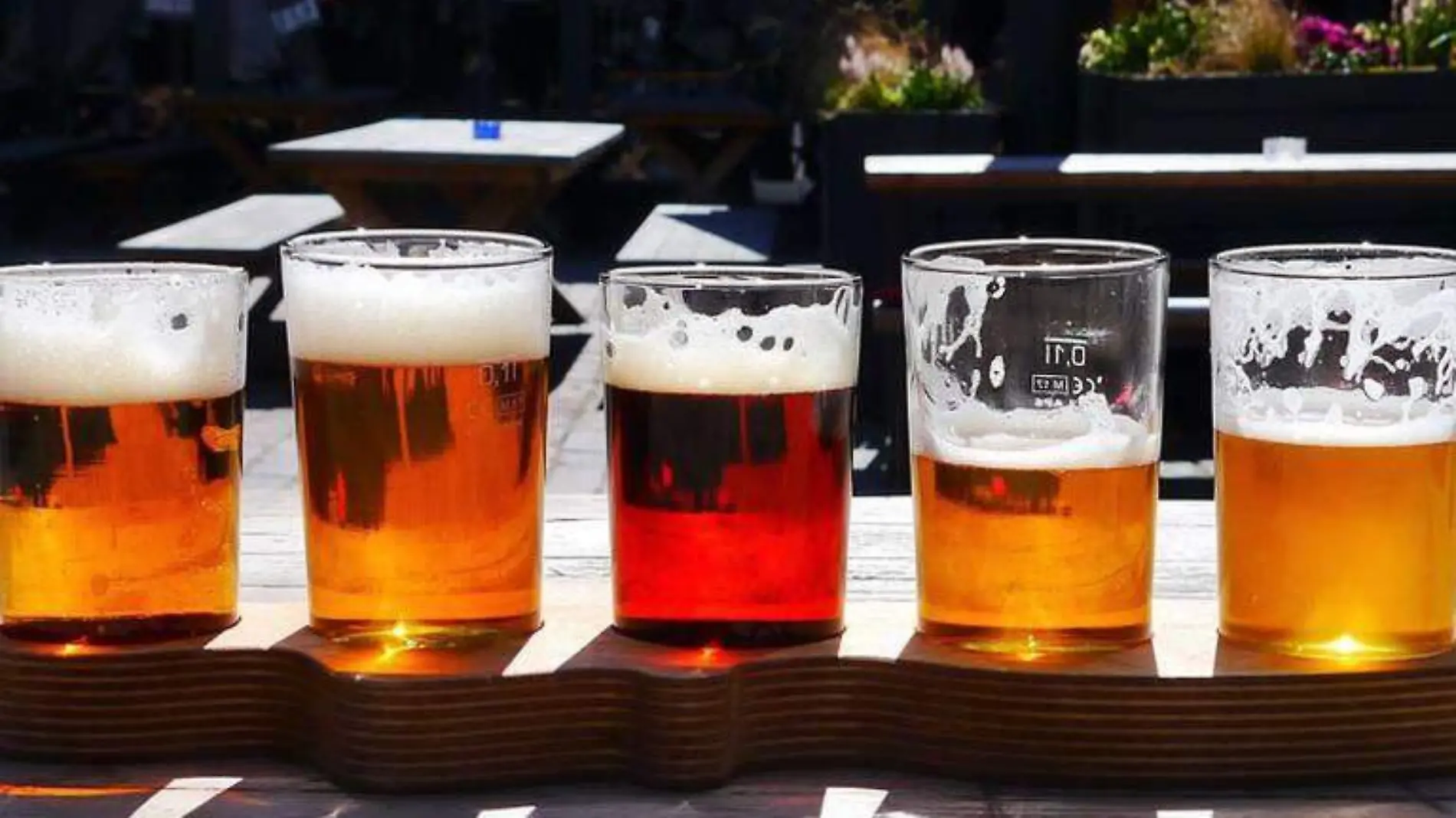 Día internacional de la cerveza ¿Por qué se celebra en Agosto-